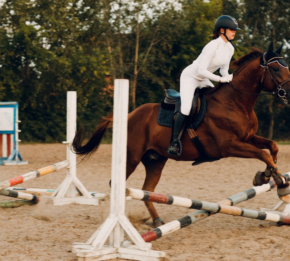 konjeniski-klub-cavallo-1