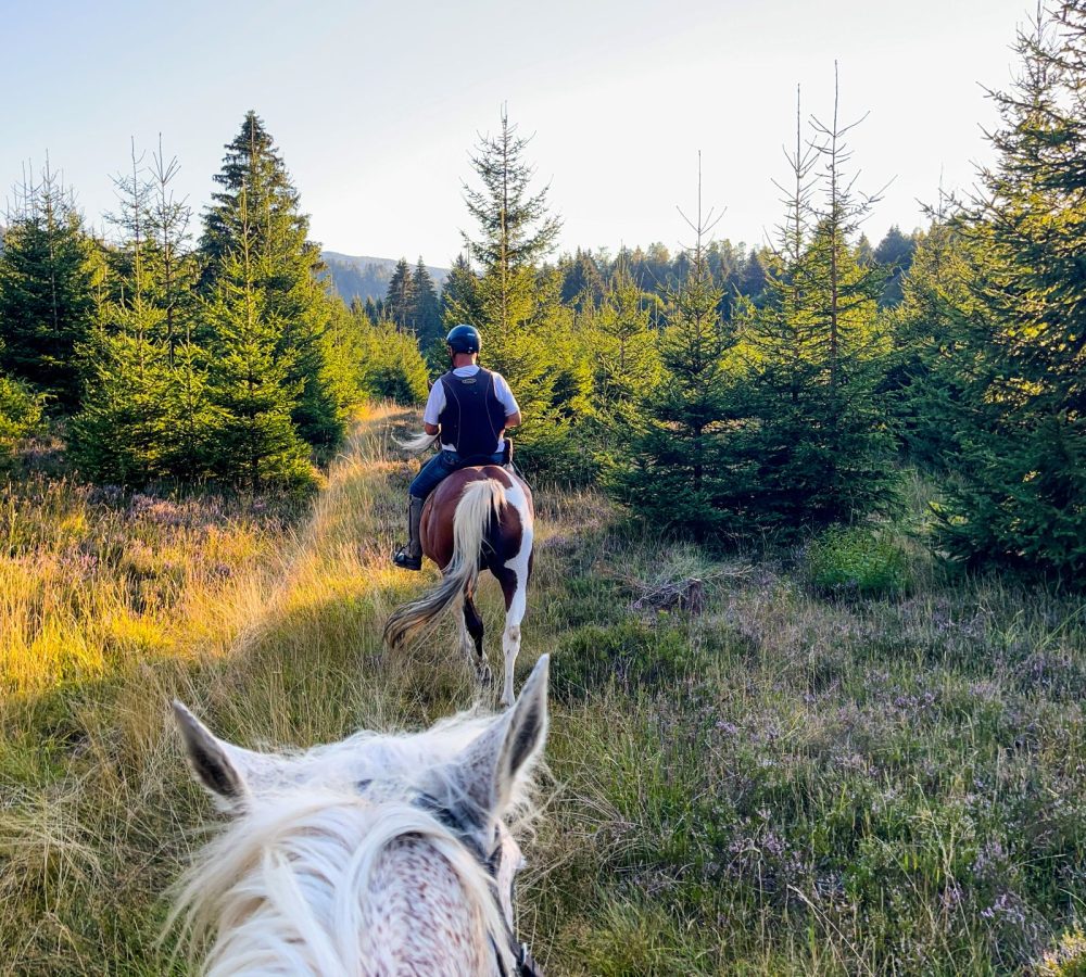 konjeniski-klub-cavallo-7